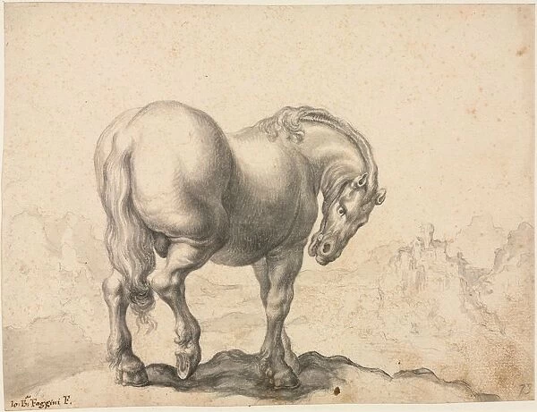 Study of a Stallion, first third 18th century?. Creator: Giovanni Battista Foggini (Italian