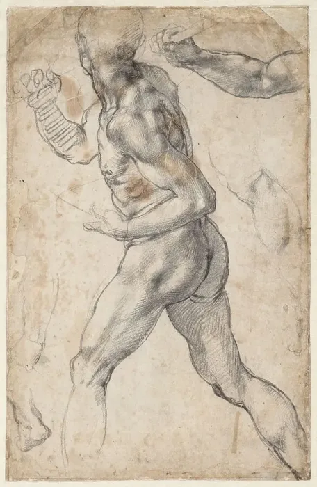 Framed Print : Study of a striding male nude, 1504 or 1506. Creator: Buonarroti, Michelangelo (1475-1564) Framed Print : Study of a striding male nude, 1504 or 1506. Creator: Buonarroti, Michelangelo (1475-1564)