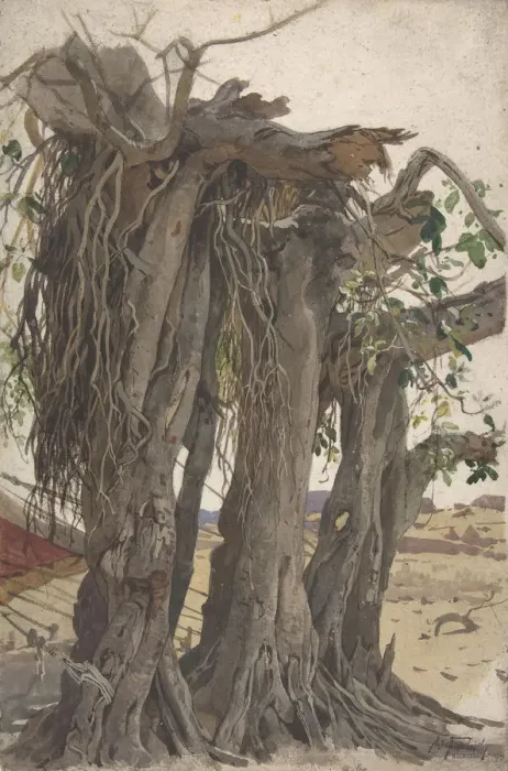 Framed Print : Study of a Stump with Aerial Roots, mid-19th-early 20th century Framed Print : Study of a Stump with Aerial Roots, mid-19th-early 20th century