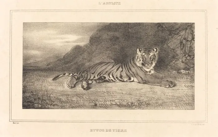 Framed Print : Study of a Tiger. Creator: Antoine-Louis Barye Framed Print : Study of a Tiger. Creator: Antoine-Louis Barye