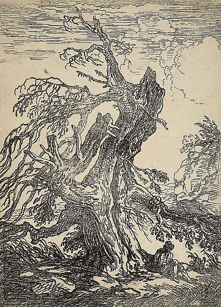 Study of a Tree, 1802. Creator: Raphael Lamar West