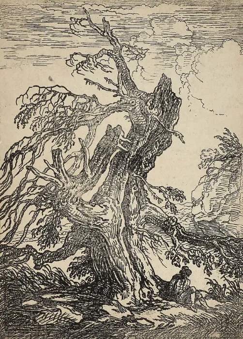 Framed Print : Study of a Tree, 1802. Creator: Raphael Lamar West Framed Print : Study of a Tree, 1802. Creator: Raphael Lamar West