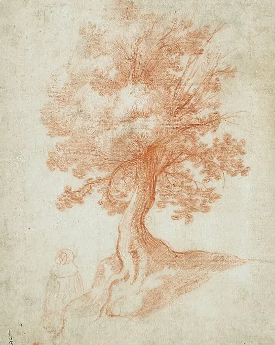 Framed Print : Study of a Tree, between circa 1610 and circa 1620. Creator: Cristofano Allori Framed Print : Study of a Tree, between circa 1610 and circa 1620. Creator: Cristofano Allori