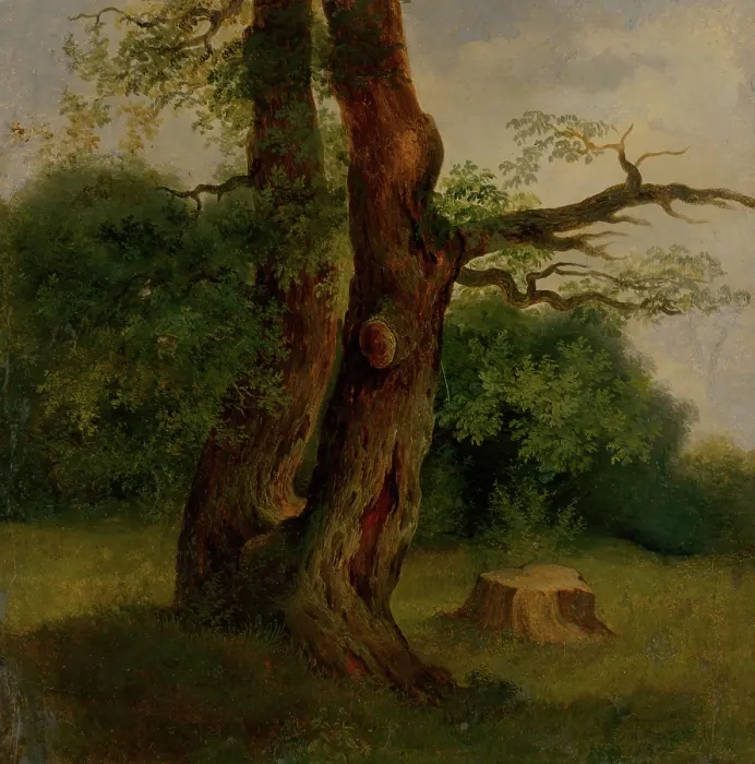 Framed Print : Study of a tree in leaf, 1860-1870. Creator: Jozef Bozetech Klemens Framed Print : Study of a tree in leaf, 1860-1870. Creator: Jozef Bozetech Klemens