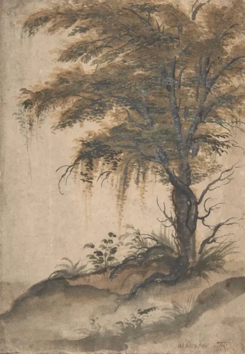 Framed Print : Study of a Tree, mid-16th-early 17th century. Creator: Marten van Valckenborch Framed Print : Study of a Tree, mid-16th-early 17th century. Creator: Marten van Valckenborch