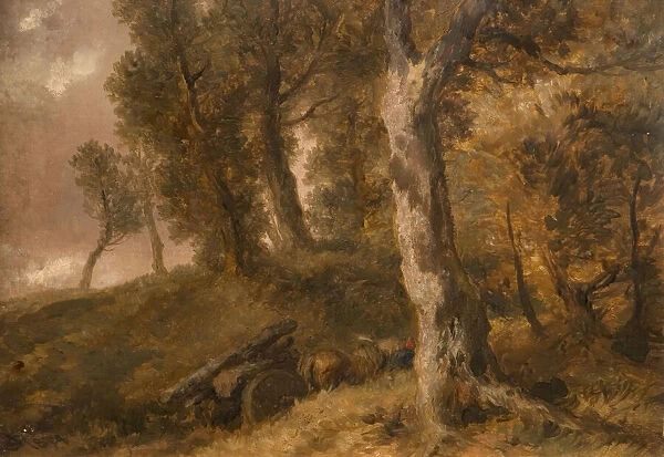 Study of Trees, 1874. Creator: Sir John Gilbert