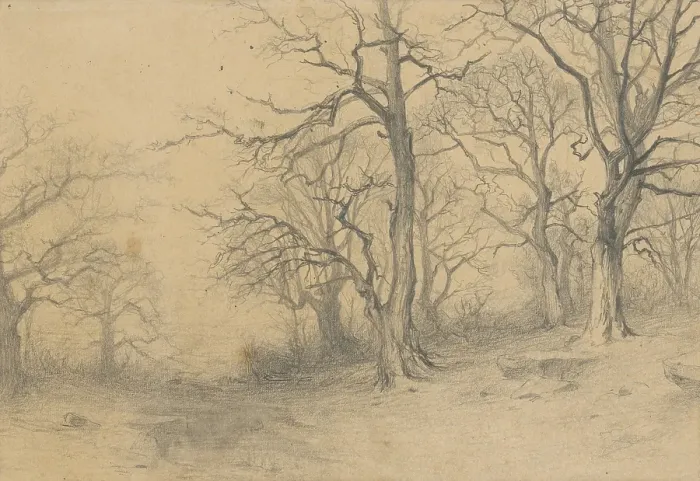 Framed Print : Study of trees, 1897. Creator: Ludovit Cordak Framed Print : Study of trees, 1897. Creator: Ludovit Cordak