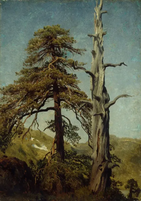 Framed Print : Study of Trees. Artist: Cappelen, August (1827-1852) Framed Print : Study of Trees. Artist: Cappelen, August (1827-1852)