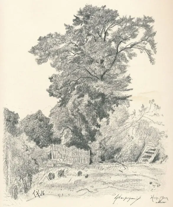 Framed Print : Study of Trees, c1839-1898, (1898). Artist: Henri-Joseph Harpignies Framed Print : Study of Trees, c1839-1898, (1898). Artist: Henri-Joseph Harpignies