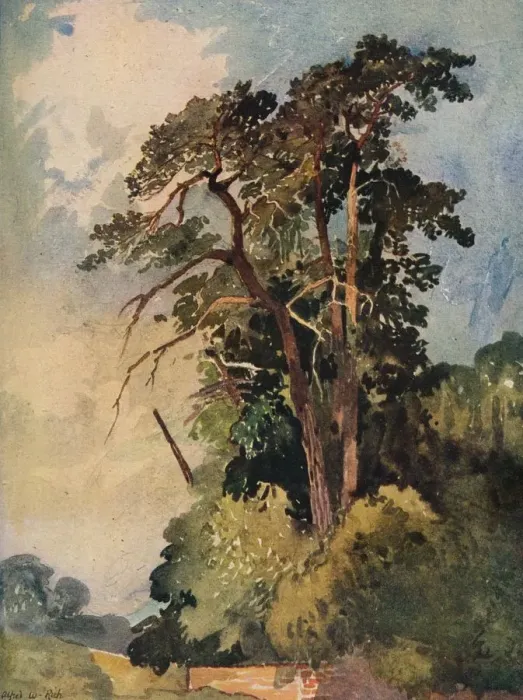 Framed Print : Study of Trees, c1880. Artist: Alfred William Rich Framed Print : Study of Trees, c1880. Artist: Alfred William Rich