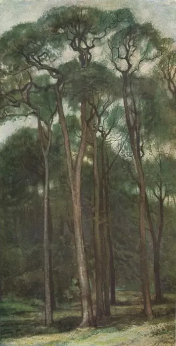 Framed Print : Study of Trees, c1900 (1903-1904). Artist: Charles Holroyd Framed Print : Study of Trees, c1900 (1903-1904). Artist: Charles Holroyd