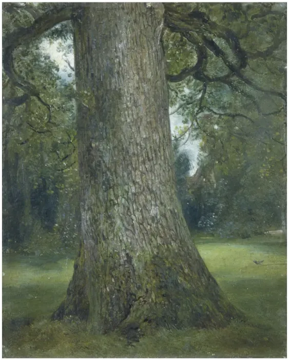 Framed Print : Study of the Trunk of an Elm Tree, c. 1824. Artist: Constable, John (1776-1837) Framed Print : Study of the Trunk of an Elm Tree, c. 1824. Artist: Constable, John (1776-1837)