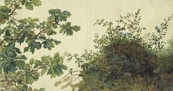 Framed Print : Study of Vegetation, mid-19th century. Creator: Kilian Christoffer Zoll Framed Print : Study of Vegetation, mid-19th century. Creator: Kilian Christoffer Zoll