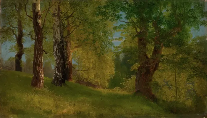 Framed Print : Study of a Wood, probably 1848. Creator: Herman August Cappelen Framed Print : Study of a Wood, probably 1848. Creator: Herman August Cappelen
