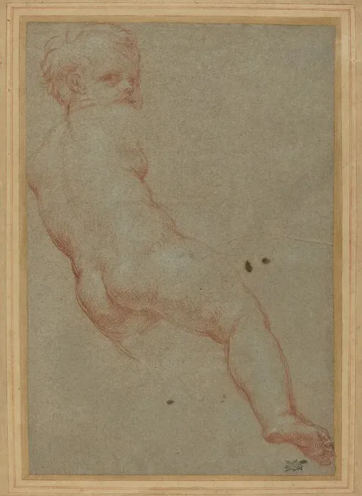 Framed Print : Study of a Young Boy. Creator: Carlo Maratti Framed Print : Study of a Young Boy. Creator: Carlo Maratti