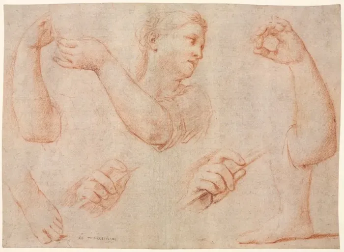 Framed Print : Study of a Young Woman Playing a Tambourine, and Studies of an Arm, Hands, and Feet Framed Print : Study of a Young Woman Playing a Tambourine, and Studies of an Arm, Hands, and Feet