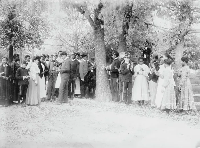 Framed Print : Studying botany, Tuskegee, between c1910 and c1915. Creator: Bain News Service Framed Print : Studying botany, Tuskegee, between c1910 and c1915. Creator: Bain News Service