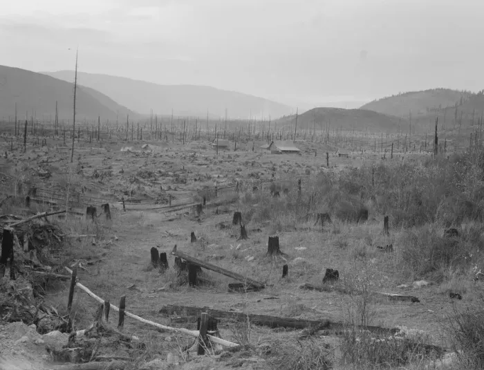Framed Print : Another stump farm, fenced, showing general characteristics of... Bonner County, Idaho, 1939. Creator: Dorothea Lange Framed Print : Another stump farm, fenced, showing general characteristics of... Bonner County, Idaho, 1939. Creator: Dorothea Lange