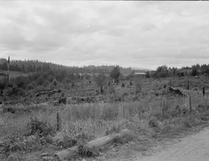 Framed Print : Another stump farm near Arnold place, Michigan Hill, Thurston County, Western Washington, 1939. Creator: Dorothea Lange Framed Print : Another stump farm near Arnold place, Michigan Hill, Thurston County, Western Washington, 1939. Creator: Dorothea Lange