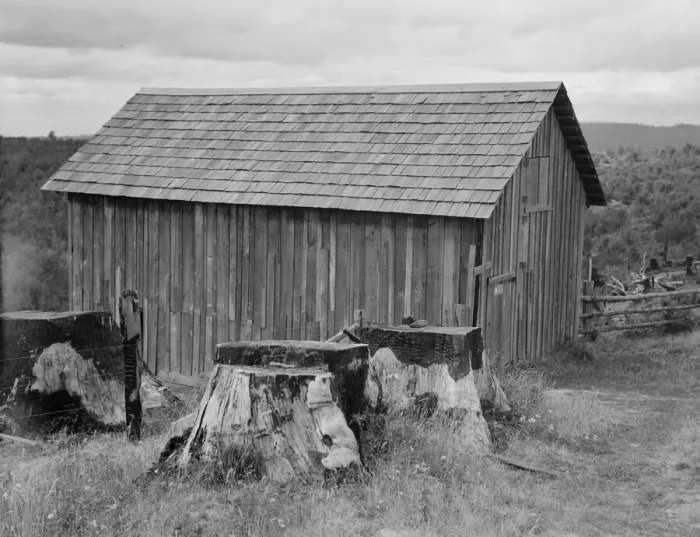 Framed Print : Part of stump farm, near Michigan Hill, Thurston County, Western Washington, 1939. Creator: Dorothea Lange Framed Print : Part of stump farm, near Michigan Hill, Thurston County, Western Washington, 1939. Creator: Dorothea Lange
