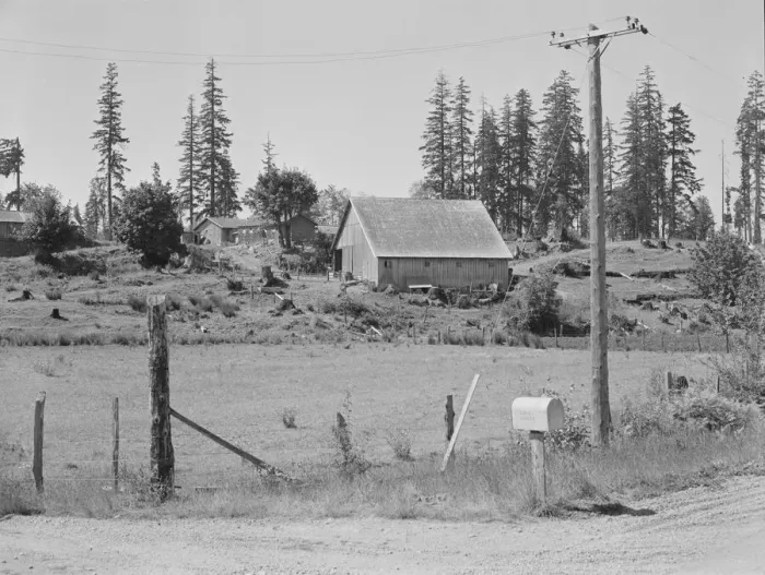 Framed Print : Stump farm, typical of cut-over area of Western Washington, near Vader, Lewis County, 1939. Creator: Dorothea Lange Framed Print : Stump farm, typical of cut-over area of Western Washington, near Vader, Lewis County, 1939. Creator: Dorothea Lange