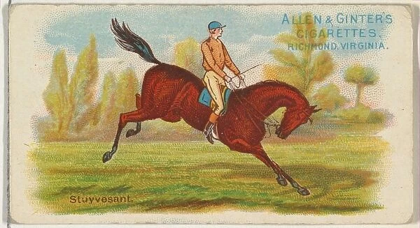 Stuyvesant, from The Worlds Racers series (N32) for Allen & Ginter Cigarettes, 1888