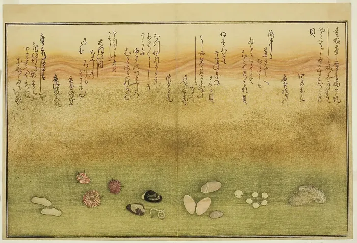 Framed Print : Sudare-gai, hana-gai, sakura-gai, mumeno-gai, nadeshiko-gai, and kinuta-gai, from the illu... 1789. Creator: Kitagawa Utamaro Framed Print : Sudare-gai, hana-gai, sakura-gai, mumeno-gai, nadeshiko-gai, and kinuta-gai, from the illu... 1789. Creator: Kitagawa Utamaro