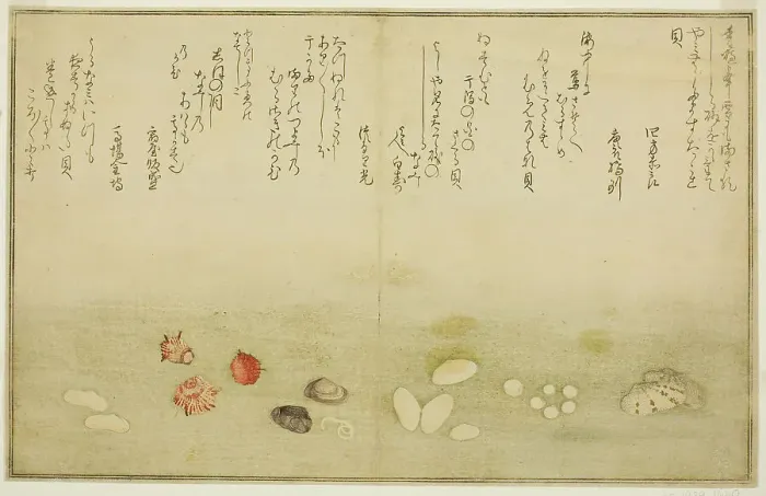 Framed Print : Sudare-gai, hana-gai, sakura-gai, mumeno-gai, nadeshiko-gai, and kinuta-gai, from the illu... 1789. Creator: Kitagawa Utamaro Framed Print : Sudare-gai, hana-gai, sakura-gai, mumeno-gai, nadeshiko-gai, and kinuta-gai, from the illu... 1789. Creator: Kitagawa Utamaro