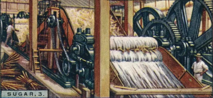 Framed Print : Sugar, 3. Crushing the Canes, Java, 1928 Framed Print : Sugar, 3. Crushing the Canes, Java, 1928
