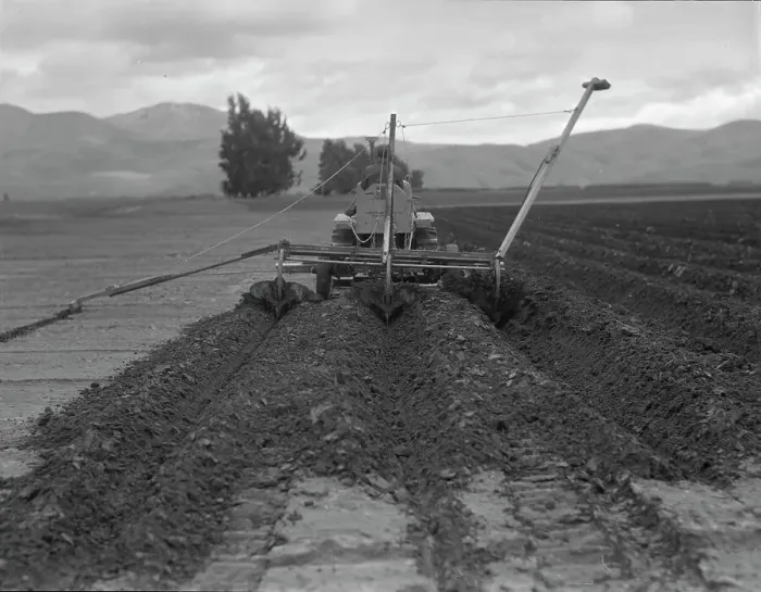 Framed Print : Sugar beet field freshly plowed by tractor with plowshare...Mexican operator, CA, 1936. Creator: Dorothea Lange Framed Print : Sugar beet field freshly plowed by tractor with plowshare...Mexican operator, CA, 1936. Creator: Dorothea Lange
