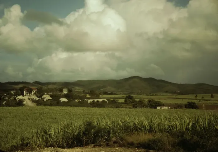 Framed Print : Sugar cane country, the Virgin Islands, 1941. Creator: Jack Delano Framed Print : Sugar cane country, the Virgin Islands, 1941. Creator: Jack Delano