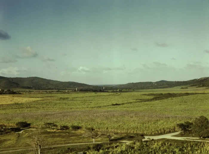 Framed Print : Sugar cane land, Yabucoa Valley? Puerto Rico, 1941. Creator: Jack Delano Framed Print : Sugar cane land, Yabucoa Valley? Puerto Rico, 1941. Creator: Jack Delano
