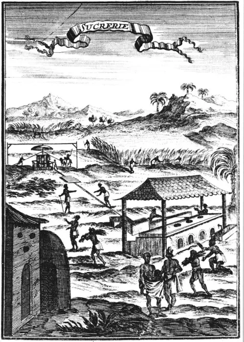 Framed Print : Sugar factory and plantation in the West Indies, 1686. Artist: Allain Manesson Mallet