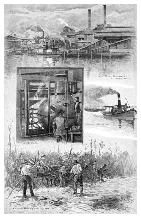 Framed Print : The sugar industry, Richmond River, New South Wales, Australia, 1886. Artist: JR Ashton Framed Print : The sugar industry, Richmond River, New South Wales, Australia, 1886. Artist: JR Ashton