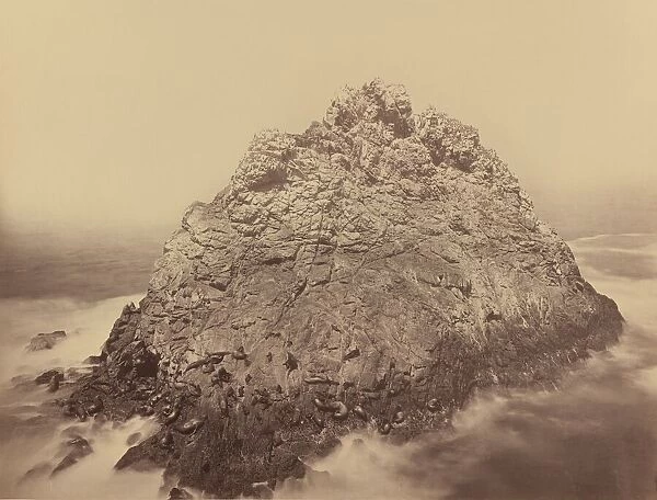 Sugar Loaf Island, Farallons, 1868  /  1869. Creator: Carleton Emmons Watkins