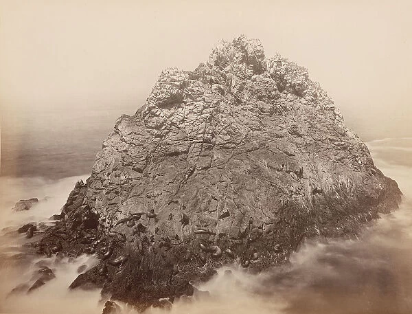 Sugar Loaf Islands, Farallons, 1868-69. Creator: Carleton Emmons Watkins