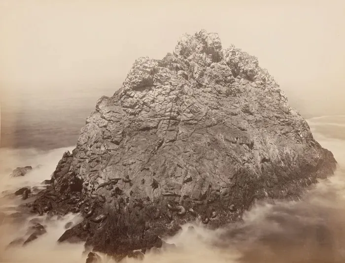Framed Print : Sugar Loaf Islands, Farallons, 1868-69. Creator: Carleton Emmons Watkins Framed Print : Sugar Loaf Islands, Farallons, 1868-69. Creator: Carleton Emmons Watkins