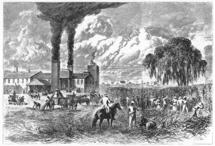 Framed Print : Sugar Plantation, New Orleans, 1870. Artist: A R Ward Framed Print : Sugar Plantation, New Orleans, 1870. Artist: A R Ward