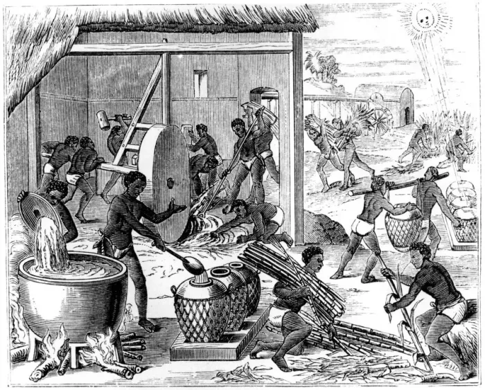 Framed Print : Sugar production, 1873 Framed Print : Sugar production, 1873