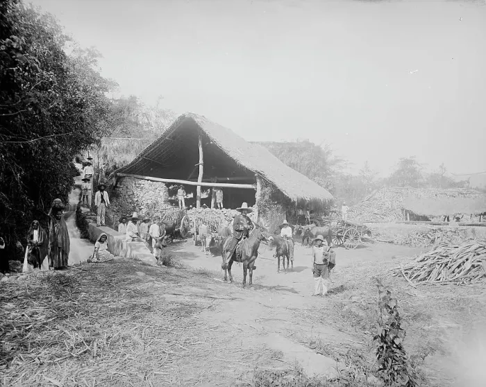 Framed Print : Sugar mill at Temasopa [sic], between 1880 and 1897. Creator: William H. Jackson