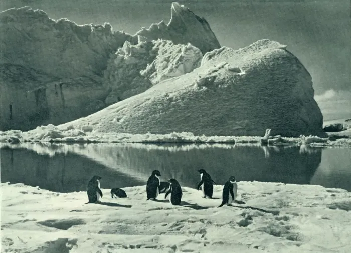 Framed Print : Summer Time - The Ice Opening Up, c1910-1913, (1913). Artist: Herbert Ponting Framed Print : Summer Time - The Ice Opening Up, c1910-1913, (1913). Artist: Herbert Ponting