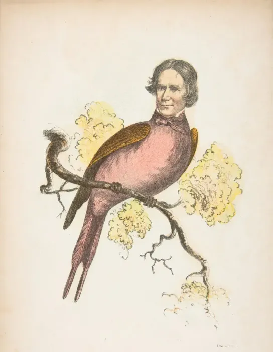 Framed Print : Sun Bird (James S. Wallace), from The Comic Natural History of the Human Race, 1851 Framed Print : Sun Bird (James S. Wallace), from The Comic Natural History of the Human Race, 1851