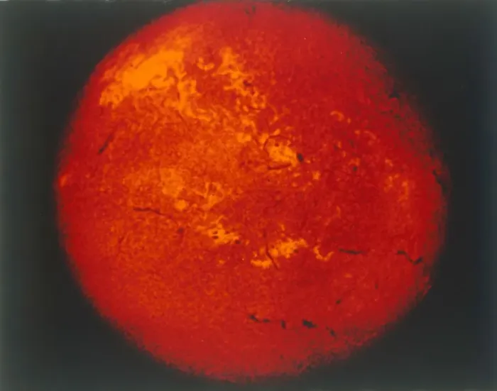 Framed Print : The Sun in H-alpha light. Creator: NASA Framed Print : The Sun in H-alpha light. Creator: NASA
