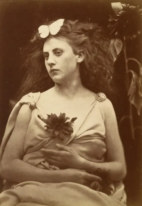 Framed Print : The Sunflower, early 1870s. Creator: Julia Margaret Cameron Framed Print : The Sunflower, early 1870s. Creator: Julia Margaret Cameron