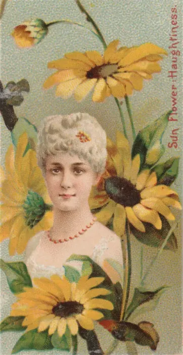 Framed Print : Sunflower: Haughtiness, from the series Floral Beauties and Language of Flowers (N75 Framed Print : Sunflower: Haughtiness, from the series Floral Beauties and Language of Flowers (N75