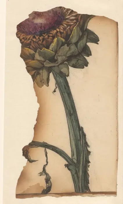 Framed Print : Sunflower (snippet), 1887-1924. Creator: Julie de Graag Framed Print : Sunflower (snippet), 1887-1924. Creator: Julie de Graag