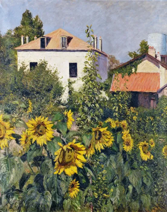 Framed Print : Sunflowers, Garden at Petit Gennevilliers, ca 1885 Framed Print : Sunflowers, Garden at Petit Gennevilliers, ca 1885