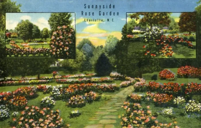 Framed Print : Sunnyside Rose Garden, Charlotte, N. C. 1942. Creator: Unknown Framed Print : Sunnyside Rose Garden, Charlotte, N. C. 1942. Creator: Unknown