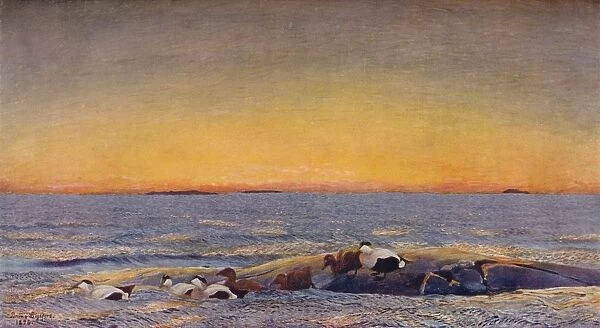 Sunrise, 1896. Artist: Bruno Liljefors