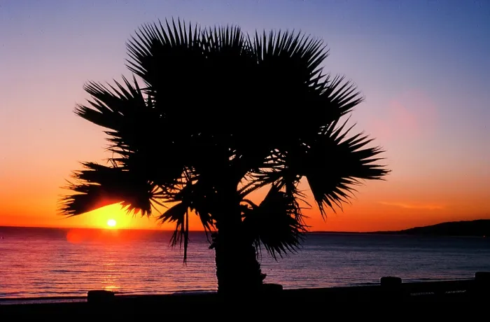 Framed Print : Last Sunset. Creator: Robert Manno Framed Print : Last Sunset. Creator: Robert Manno